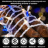 100 20FT Set, LAMPHOME Blue Clear Christmas String Lights, ct Incandescent Mini Fairy Lights UL Certified White Wire