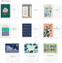 Box(60-Count) American Greetings All Occasion Deluxe Card Assortment with Envelopes and Storage