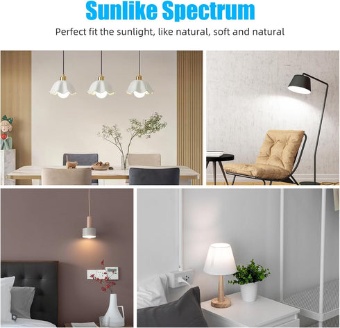 Full Spectrum Sun Light Bulb - A19 9W, Boosts Energy, Mood & Performance, Near-Perfect Color Rendering