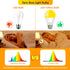 EvaStary Yellow LED Light Bulb, 6W LED Bug Light Bulbs, 40W Equivalent, A19 LED Amber, 4 Pack