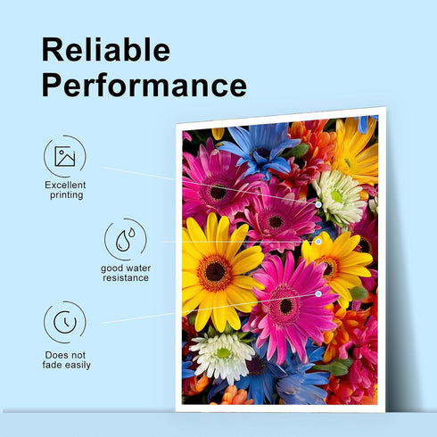 TEINO 901 Ink Cartridges Remanufactured Replacement for HP 901 901XL for OfficeJet J4680 J4580 4500 Series