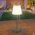 Rechargeable RGB Solar Table Lamp - Color Changing Indoor Outdoor Lighting