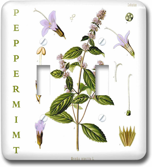3dRose Peppermint Herb Kitchen Art - Herbal Medicinal Plants Botanical Print double