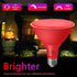 Gonhom PAR38 Outdoor,Dimmable Bulbs,20W(Equivalent 200W),E26 Bulb Halloween,Christmas,2 Pack Flood Lights LED Flood