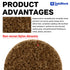 Linkiblock 25Pcs 2 inch Coarse Abrasive Nylon Surface Conditioning Quick Change Sanding Discs R-Type with Adapter