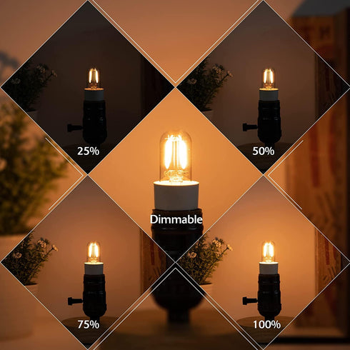 Yi Lighting T22 T7 1W LED Night Light Bulbs, E12 Base, 150lm, 15W Equivalent, Himalayan Salt Lamp Bulb, 2