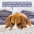 Resolve Ultra Pet Odor and Stain Remover Spray, 32oz Carpet Cleaner