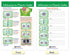 NewPath Learning Mitosis Bulletin Board Chart Set, Pack of 5 (94-7014)