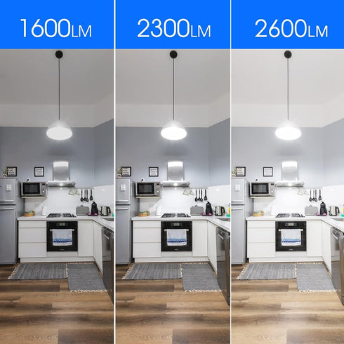 Super Bright Light Bulb 150 Watt Equivalent A21 LED, Daylight 5000K, E26 Base, 2600 High Lumens, Non-Dimmable, 2 Pack