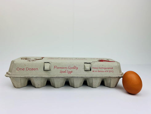 12-Pack Recycled Paper Pulp Egg Cartons - Solid Top Style in Red/Brown for Chicken Eggs - Made in the USA