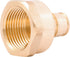 SharkBite 1/2 Inch x 3/4 Inch Expansion FNPT Adapter Fitting for PEX-A Pipe, Brass Plumbing Fittings, Female NPT