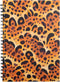 Spiral Notebook: 160 Pages for Writing and Note Taking