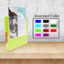 BAZIC 3 Ring Binder 1/2" Economy View Organizer - Lime Green, Round Ring, Holds 100 Sheets, 1-Count for School Office