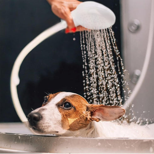2m/6.56ft Sink Spray Rubber Hose Portable Sink Hose Faucet Sprayer Shampoo Sprayer Handheld Faucet Shower