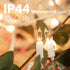 2 Pack 50 Count 12 Christmas String Lights Clear Warm White Mini Lights Plug Powered Waterproof for Indoor and Outdoor
