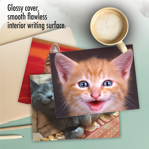 The Best Card Company 10 Assorted Thank You Notes Bulk Box Set with Envelopes (10 Designs, 1 Each) Smitten Kittens