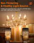MEQIQTEK E12 60 Bulbs, Bulbs 2500K, 500 Dimmable B10 Bulbs (12 Pack) Watt Incandescent Candle Light Chandelier Light