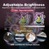 Fortune Cat Ramen Neon Signs for Wall Decor Japanese Cat LED Neon Light USB Powered Light Up Signs for Japanese Culture