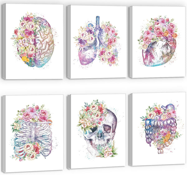CHDITB Medical Human Anatomy Wall Art, Medical Anatomical Art Set of 6(12x16),Floral