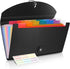 Cesil Small Accordion File Organizer, 13 Pockets Receipt Holder, Large Capacity for Cards, Tickets, Business Coupons