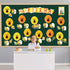 Qyeahkj Bee Birthday Bulletin Board Set, Honeycomb Cutouts, Birthday Decorations for Classroom, Teacher Supplies