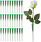 Grevosea 30 PCS Floral Water Tubes for Flowers, Green Floral Water Tubes, 5.71