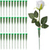 Grevosea 30 PCS Floral Water Tubes for Flowers, Green Floral Water Tubes, 5.71