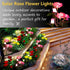 SMATOLS Outdoor Solar Garden Stake Lights, Outdoor Decorative Rose Flowers Lights Waterproof Solar Powered for Patio