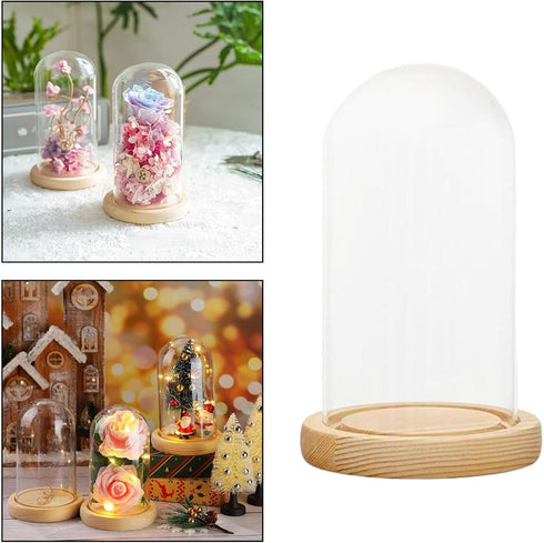XLWLLNJ Dome Cloche Bell Jar Wooden Base Multifunctional Showcase Display Case Dessert Cover for Dining Tables