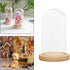 XLWLLNJ Dome Cloche Bell Jar Wooden Base Multifunctional Showcase Display Case Dessert Cover for Dining Tables