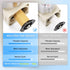 TAILONZ PNEUMATIC 1/4 Inch NPT Air Tool Compressor Filter Combo, Pressure Regulator with Gauge AF2000+AR2000