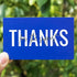 RXBC2011 100 Little Thank You Cards, Handwritten Lettering Design Bulk Notes for All Occasion, 3.5 x 2 Inch (BLUE)