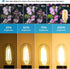 E26 Bulb 6W E26 Bulb 60 2700K E26 Bulb dimmable AC120V 600lm T14 T45 Bulb Pack 6 Leools LED Equivalent watt Warm White