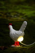 ChickenSoNice 16 Chicken Egg lamp, Colors Change Chicken lamp with Remote Control, Resin Chicken Egg Night Light