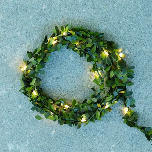 165ft 500 50M ER CHEN Led String Lights, Led Starry Lights on Green Copper Wire String Lights Power Adapter + Remote