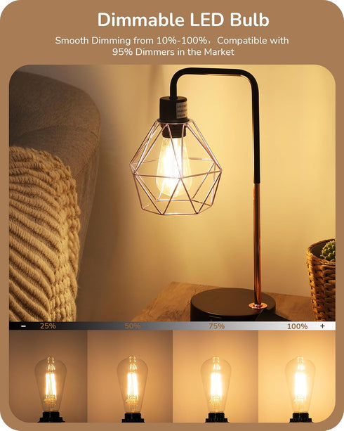 EDISHINE Vintage LED Edison Bulbs 6 Pack, 8W Equivalent 60W, ST64 Dimmable 700LM 2700K Warm White E26 Base