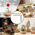 BENECREAT 10 Pack 60ml Clear Glass Test Tubes with Cork Stopper for Wedding Party Favors, Candy, Spices, Beads