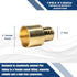 5 Pcs XFITTING 1 Inch Pex x 1 Inch Female Sweat Adapter, 23-1-6=5X