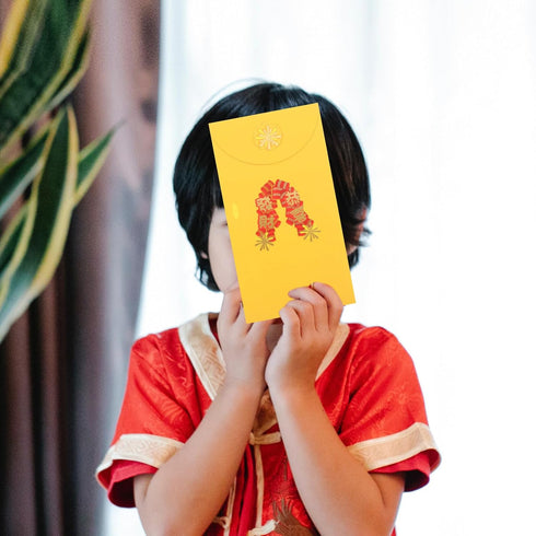 Gadpiparty Red Chinese Envelopes, 2024 Year of the Dragon Red Packets, Lucky Money for Spring Festival
