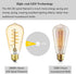 12V LED Edison Bulbs, 40W Equivalent, Low Voltage 4W Vintage Style, E26 Medium Base, Warm White 2700K, 3 Pack