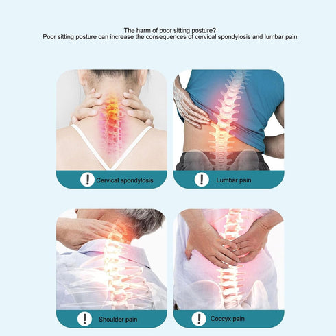 Yoidesu Lumbar Support Posture Corrector Chair, Back and Lumbar Support Memory Foam and PP Materials, Petal Shape Waist