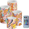 Hippie Daisy Flowers 4 Pcs Flameless LED Candles with Remote Timer Control,