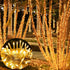 300 98.5FT 8 LJLNION LED String Lights Outdoor Indoor, Extra Long Christmas Lights, Lighting Modes, Plug in Waterproof