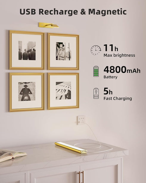 4800mAh 16in Dimmable 3 EZVALO Picture Light for Wall, Rechargeable Wireless Remote, Magnetic LED Art Display Light
