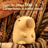 2 Dimmable, ATSUI Cute Capybara Night Light, LED Squishy Novelty Animal Lamp, Food Grade Silicone, Level Breastfeeding