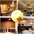 G8 LED Bulb 3W, Equivalent to G8 Halogen 20W-25W, T4 JCD Type Bi-Pin G8 Base, 3000K Warm White, 10 Pack