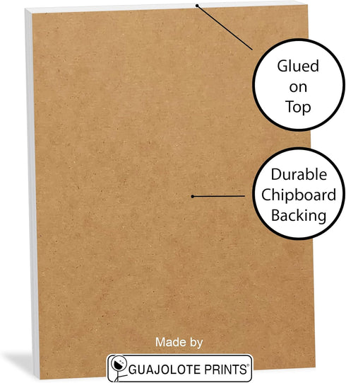 Funny Notepads (4-Pack) - Everything is Fine, This is my life Now, and I'm not even trying anymore
