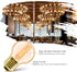 LVWIT G14 LED Filament Globe Bulb 5.5W(40W Equivalent), Dimmable 2500K Warm White E26 Screw Base, Decorative Edison Light Bulb, UL-Listed(6-Pack),Amber Yellowish by LVWIT
