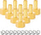 TAILONZ PNEUMATIC 1/4 Inch Barb x 1/4 Inch NPT Brass Female Hose Fitting Connector (Pack of 10)