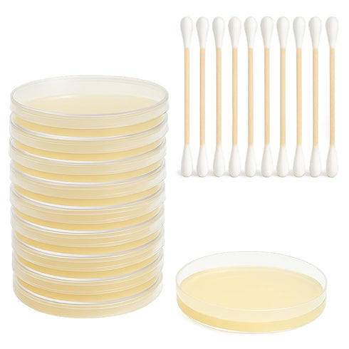 Teton Environmental, Inc. 10 Mold Test Kit Test Different Areas in Home, Swab Sample and Air Sample, Easy-to-Use Guide
